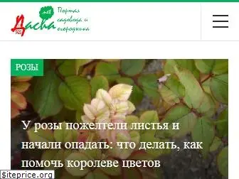 dacha365.net