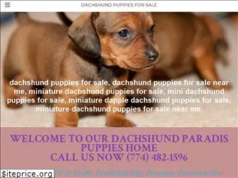 dachshundpuppies.company.com