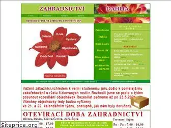 dahliabrzak.cz