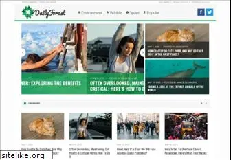 dailyforest.com