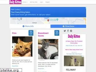 dailykitten.com