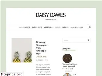daisydawes.com