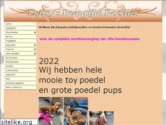 daisysbeautifulpoodles.nl