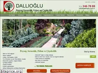dallioglu.com.tr