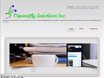 damselflysolutions.com