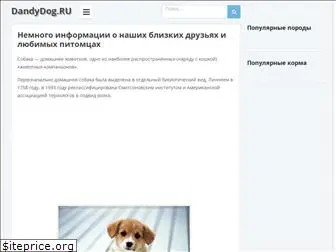dandydog.ru