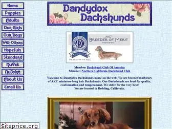 dandydoxdachshunds.com