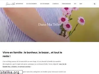 dans-ma-tribu.fr