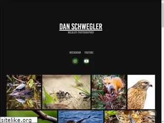 danschwegler.com