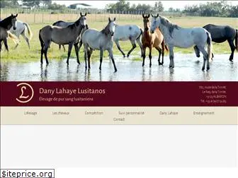 dany-lahaye-lusitano.com