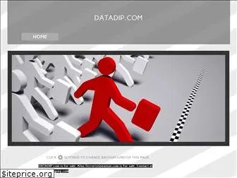 datadip.com