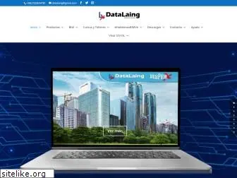 datalaing.com