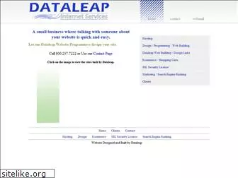 dataleap.com