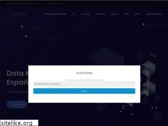 datamanagement.es