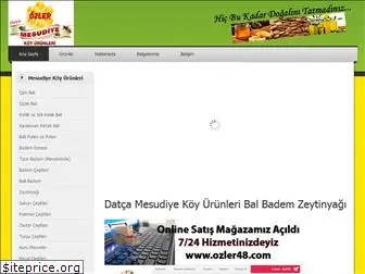 datcamesudiyekoyurunleri.com