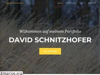 david.schnitzhofer.at