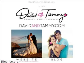 davidandtammy.com