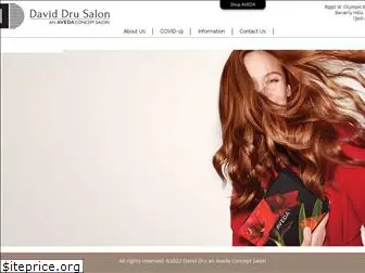 daviddrusalon.com