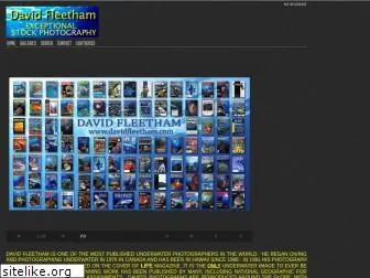 davidfleetham.com