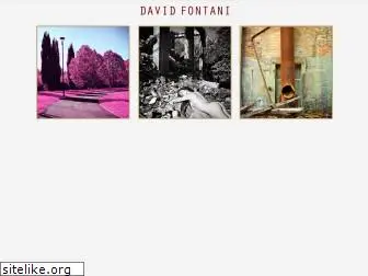 davidfontani.it