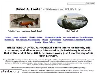 davidfooter.com