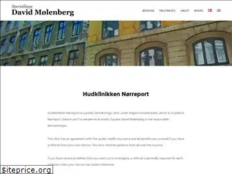 davidmoelenberg.dk