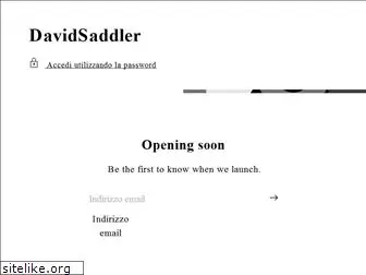 davidsaddler.com