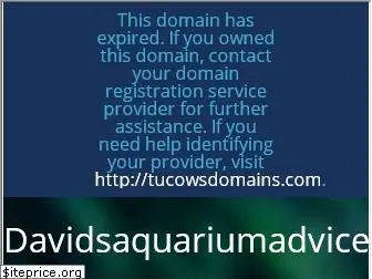 davidsaquariumadvice.com