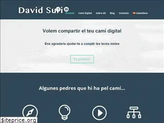 davidsuri.com