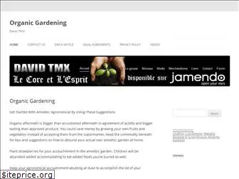 davidtmx.com