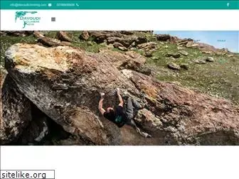 davoudiclimbing.com