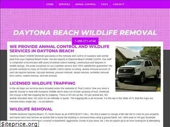 daytonabeachwildliferemoval.com