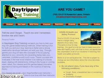 daytripperdogtraining.com