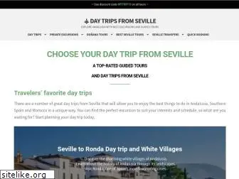 daytripsfromseville.com