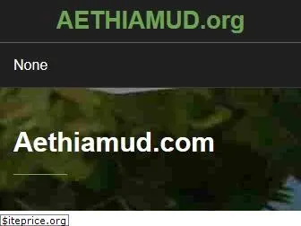 de.aethiamud.org