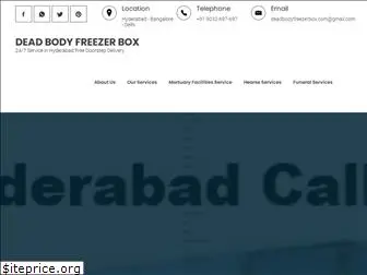 deadbodyfreezerbox.com