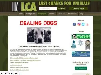 dealingdogs.com