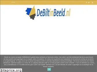 debiltinbeeld.nl