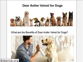 deerantlervelvetfordogs.com