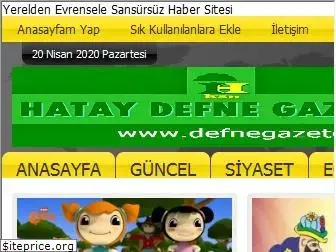 defnegazetesi.com
