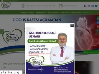 defnehastanesi.com