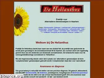 dehelianthus-haarlem.nl