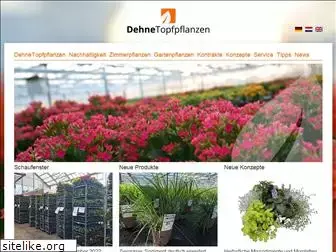 dehne-topfpflanzen.de