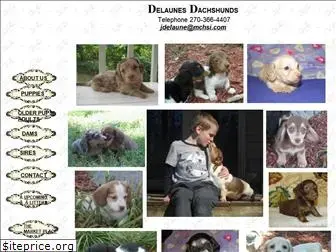 delaunesdachshunds.com