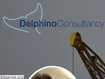 delphino-consultancy.nl