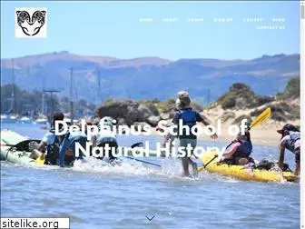 delphinusschool.org