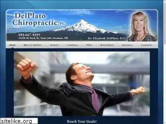 delplatochiropractic.com