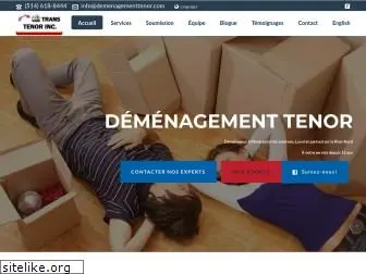 demenagementtenor.com