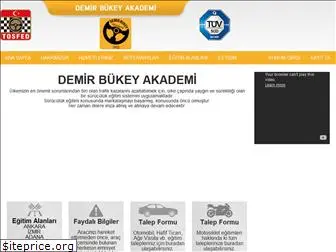 demirbukey.com