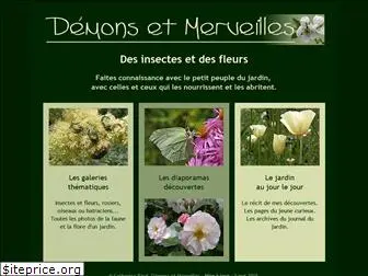 demons-et-merveilles.fr